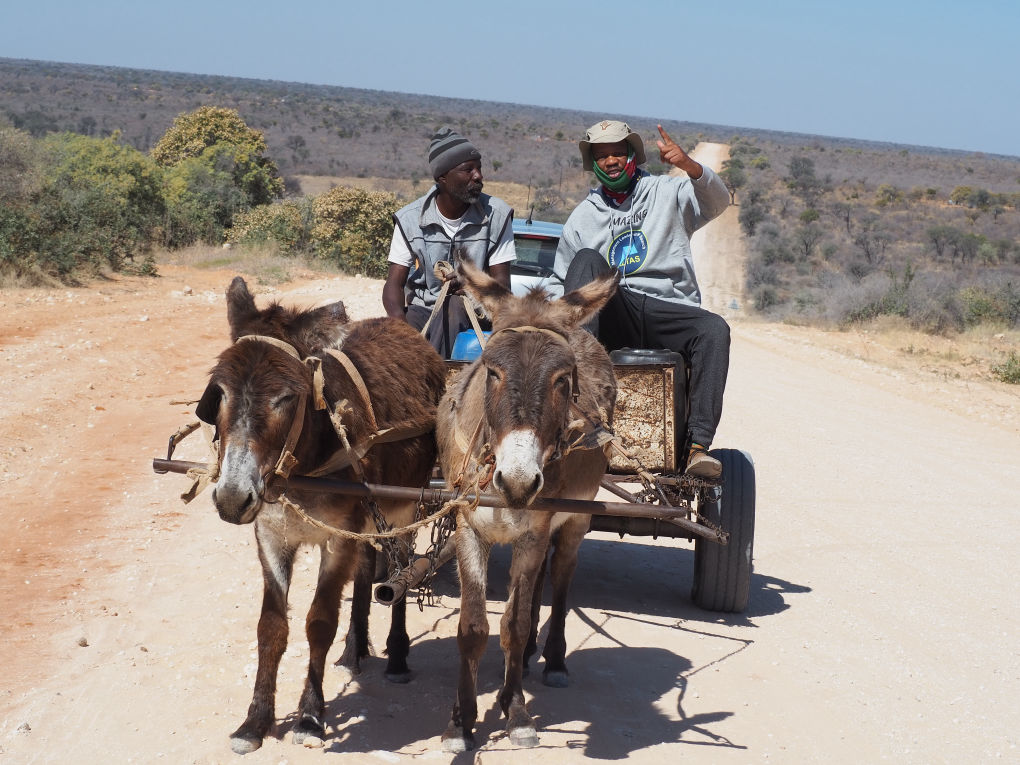 Mobirise Website Builder